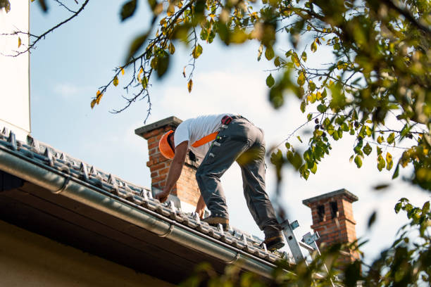 Best Local Roofing Companies  in Harrison, WI